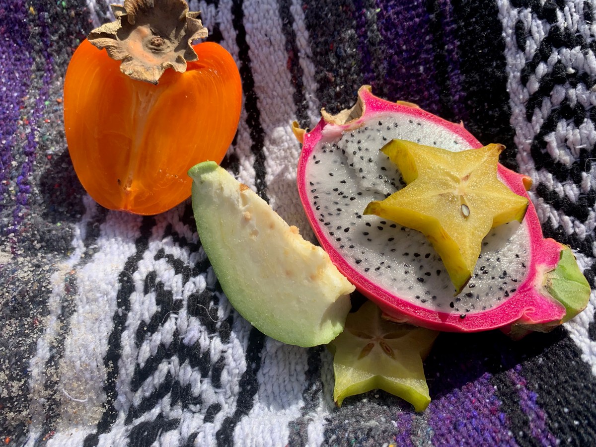 How to Make Your World a&nbsp;Garden